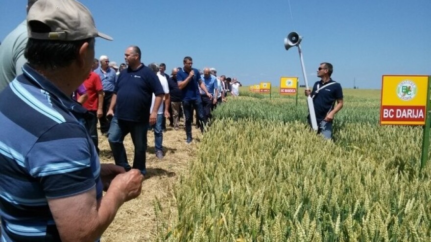 Bc i dalje stvara konkurentne sorte i hibride