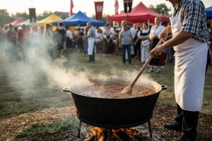 Bean festival 2014. u Temerinu
