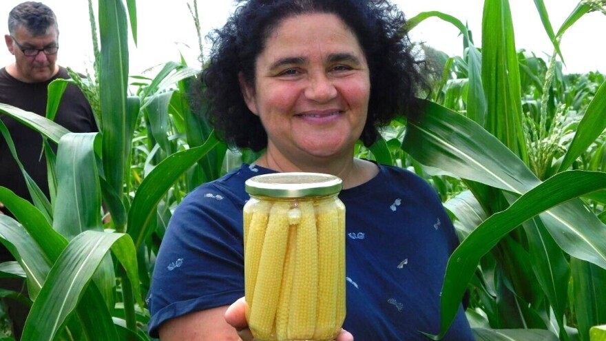 Prvi u Srbiji proizvode bebi kukuruz: Jarkovački će ove godine predstaviti i namaz od kukuruzne svile