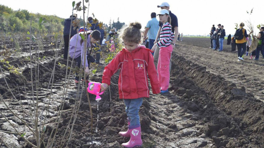 Djeca u Beču svake godine posade 10.000 stabala