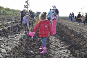 Djeca u Beču svake godine posade 10.000 stabala