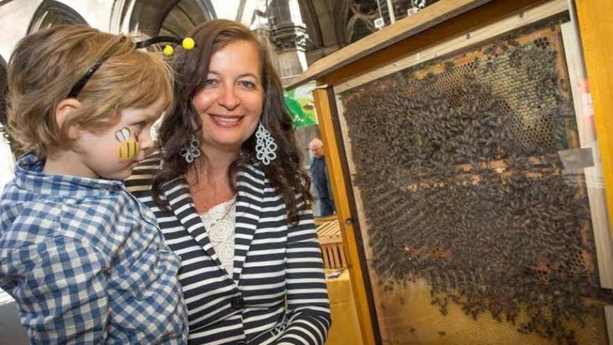 Beč pomaže svojim pčelama!