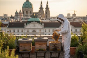 Beč voli svoje pčele!