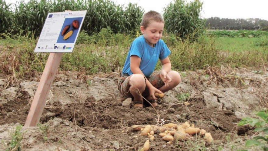 Grad Beč suosnivač mreže ekoloških gradova