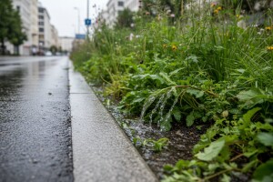 Bečka revolucija po pitanju kišnice!