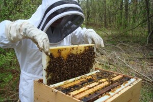 Međužupanijsko ocjenjivanje meda u Slavonskom Brodu!