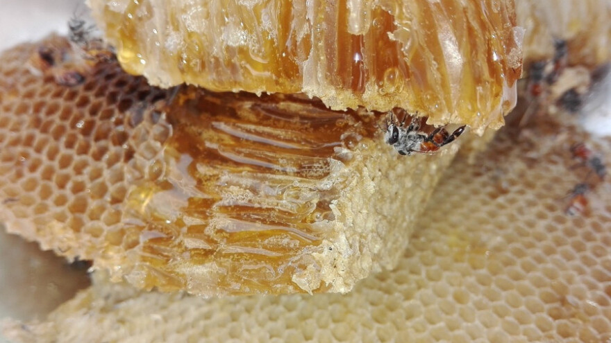 Jubilarni, 15. Međunarodni sajam pčelarstva &quot;Bee-fest&quot;