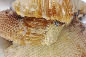 Jubilarni, 15. Međunarodni sajam pčelarstva "Bee-fest"