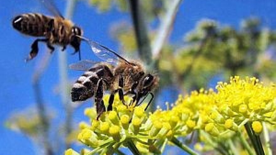 Novi način vođenja evidencije pčelara