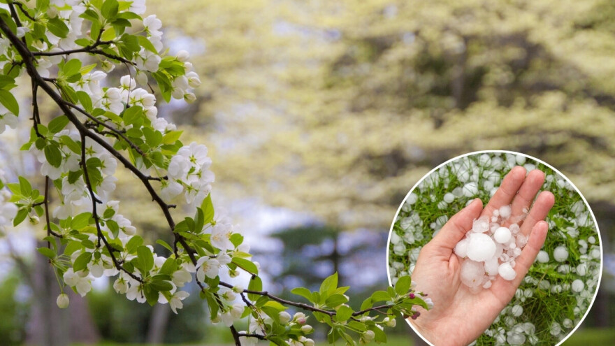 Nestabilno vrijeme prati sjetvu krajem aprila: Moguć i led?