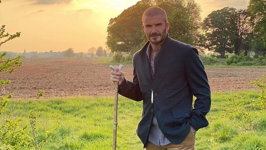David Beckham u izolaciji pravi košnice i planira proizvoditi med