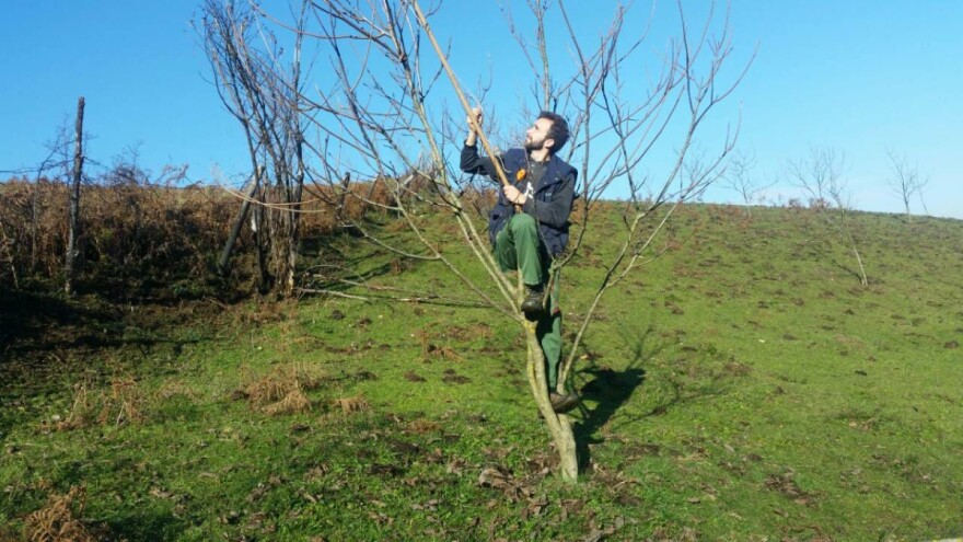 Bekir Dolić: Ljudi odlaze trbuhom za kruhom, moramo čuvati selo, tradiciju i kulturu