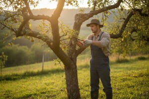Bekir Dolić: Ljudi odlaze trbuhom za kruhom, moramo čuvati selo, tradiciju i kulturu