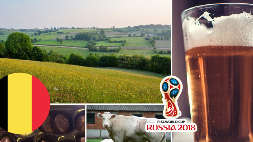 Belgija proizvodi više od 2.500 vrsta piva, a poznate praline inspirirane su tabletama obloženim čokoladom