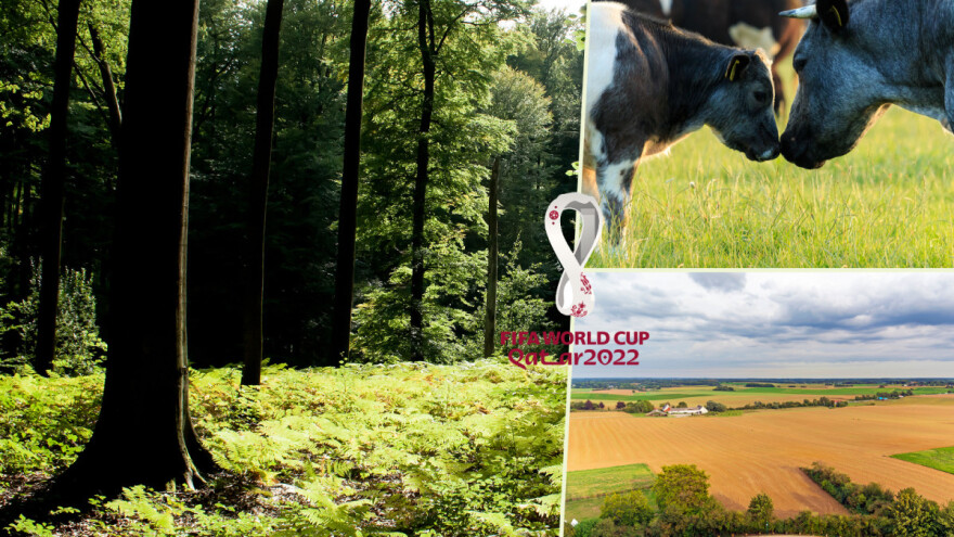 Belgija je i Waterloo, iz fontana im teče predak džina, a kakve veze s njom imaju kelj i dagnje?