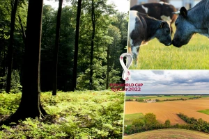 Belgija je i Waterloo, iz fontana im teče predak džina - kakve veze imaju s prokulicom i dagnjama?