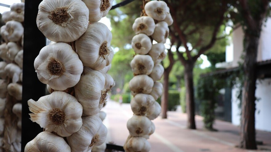 Koje biljke donose sreću, a koje nesreću?