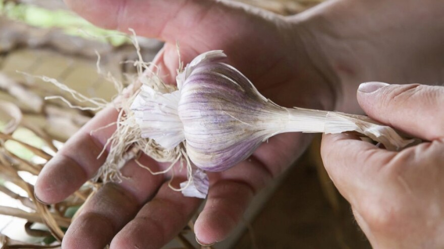 Europskom bijelom luku (opet) prijeti uvoz iz Kine?