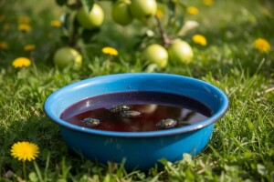 Belim i plavim šerpama protiv rutave bube