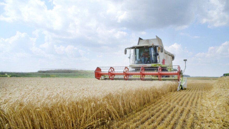 Belje ruši rekorde: prinosi pšenice 8,8 tona po hektaru