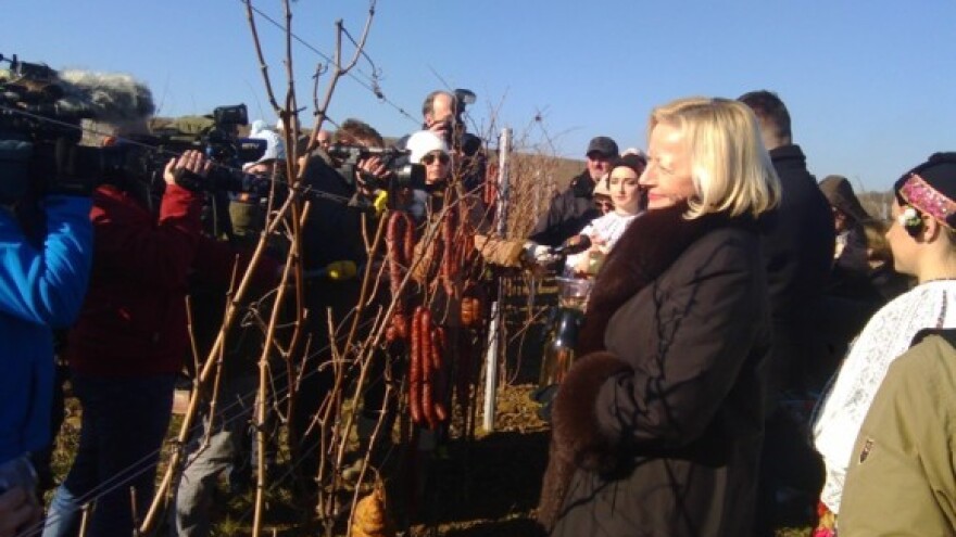 4 graševine i merlot sljubili na vrhu Banova brda