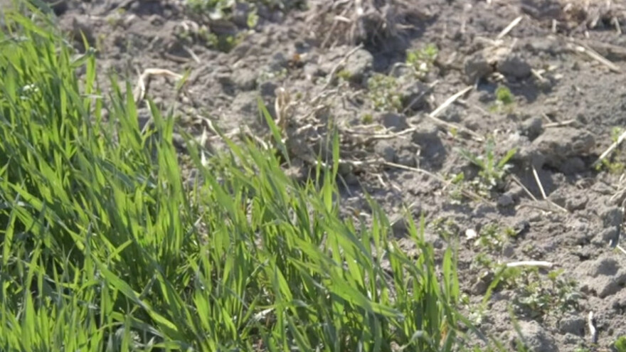 &quot;Minut&quot; zemlja - samo za uporne