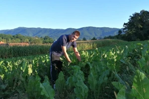 Hren s OPG-a Bencek i na slovenskom tržištu: posla i ulaganja je više, ali se isplati