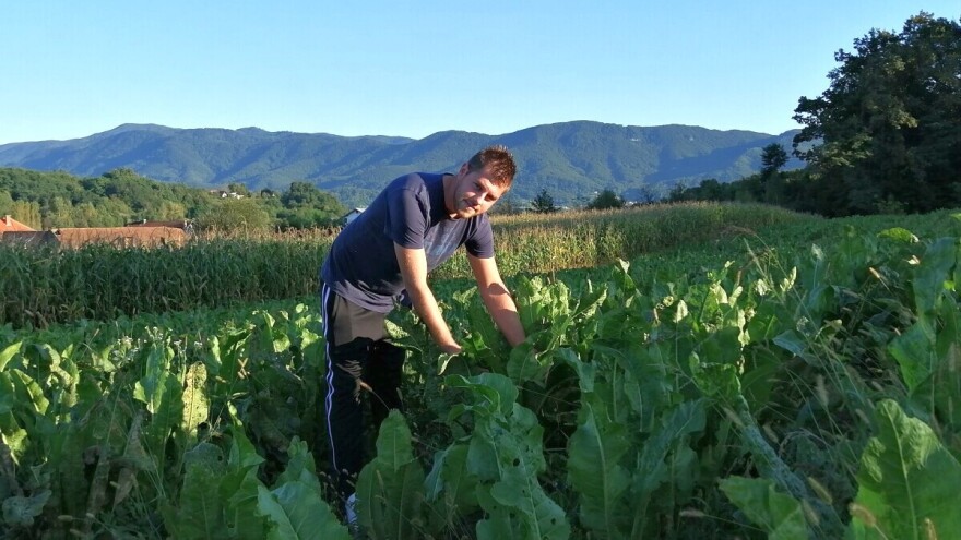 Hren s OPG-a Bencek i na slovenskom tržištu: posla i ulaganja je više, ali se isplati