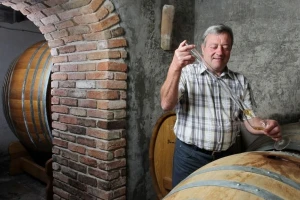 Istarska zemlja daje posebna vina
