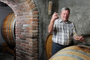 Istarska zemlja daje posebna vina
