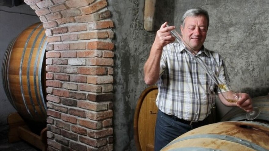 Istarska zemlja daje posebna vina