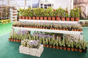 Međunarodni sajam hortikulture, uz još dve izložbe, u Beogradu