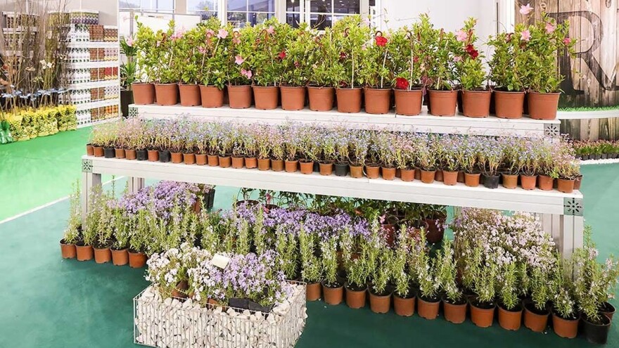 Međunarodni sajam hortikulture, uz još dve izložbe, u Beogradu