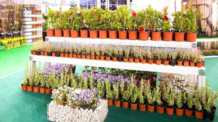 Beoplantfair 2018 - bašča u srcu Beograda početkom aprila