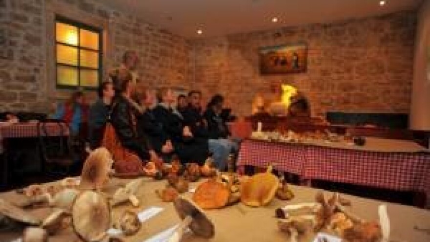 Zdrava priroda - zdrav čovjek