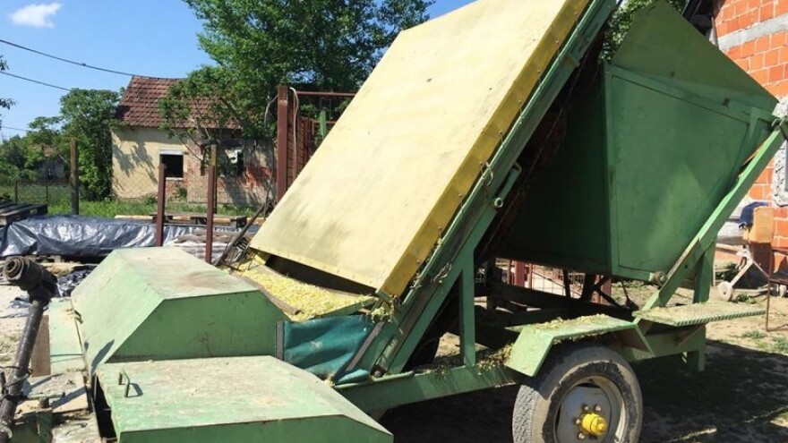 U Novoj Šarovki u tijeku berba ekološke kamilice!