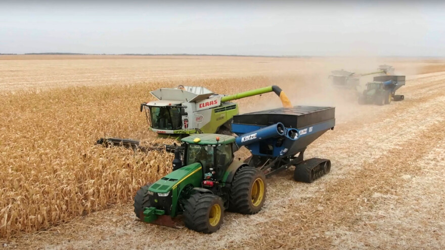 Bugarska XXL berba kukuruza - ove godine će zasijati manje površina