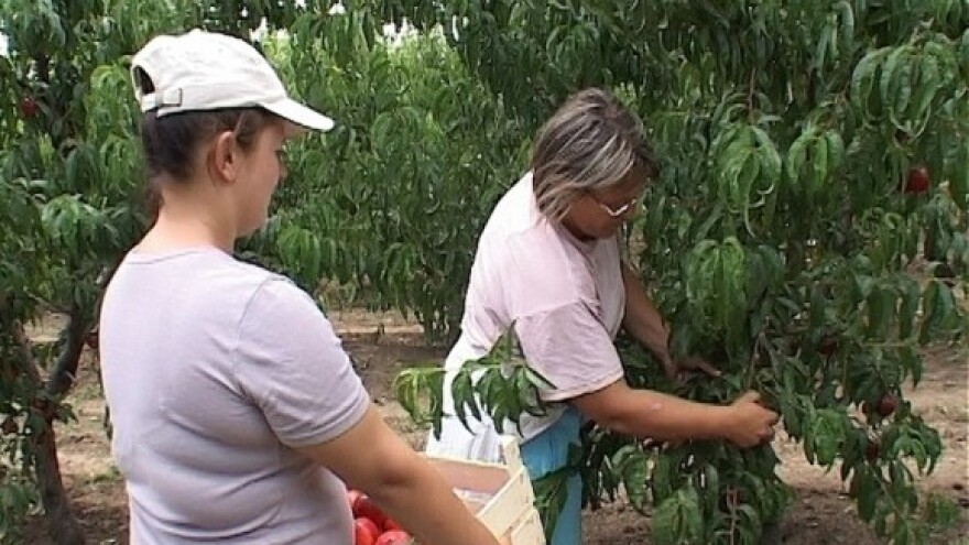 Ako ne ponište natječaje - prigovor komisiji?