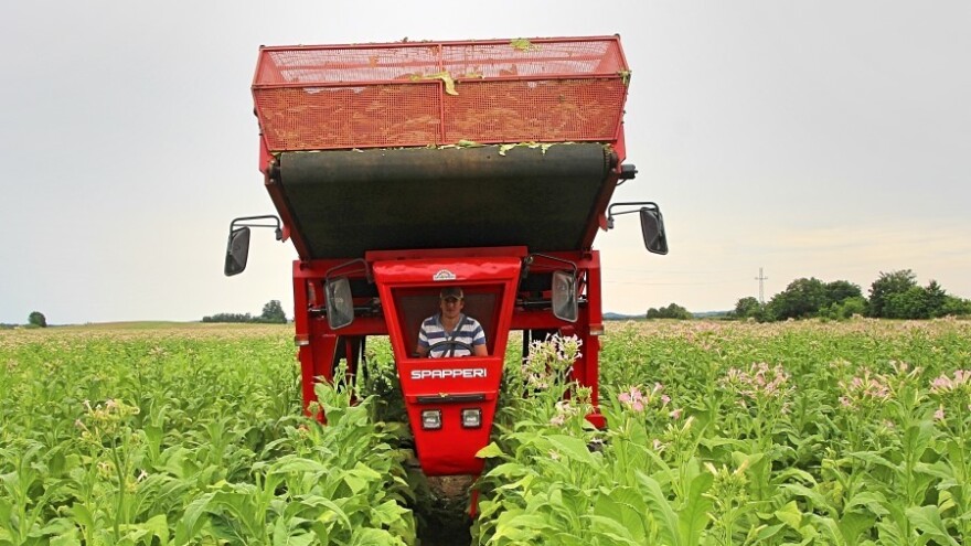U nedostatku radne snage OPG Martinušić Ivan iz Turnašice kupio stroj za berbu duhana za 50.000 eura
