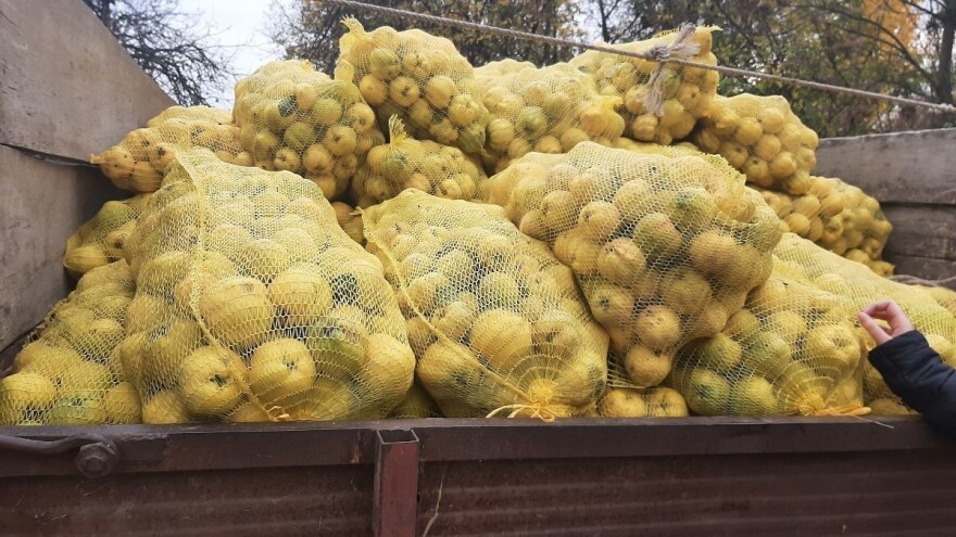 Šta je sulc i kakve sve đakonije se spremaju od dunje?