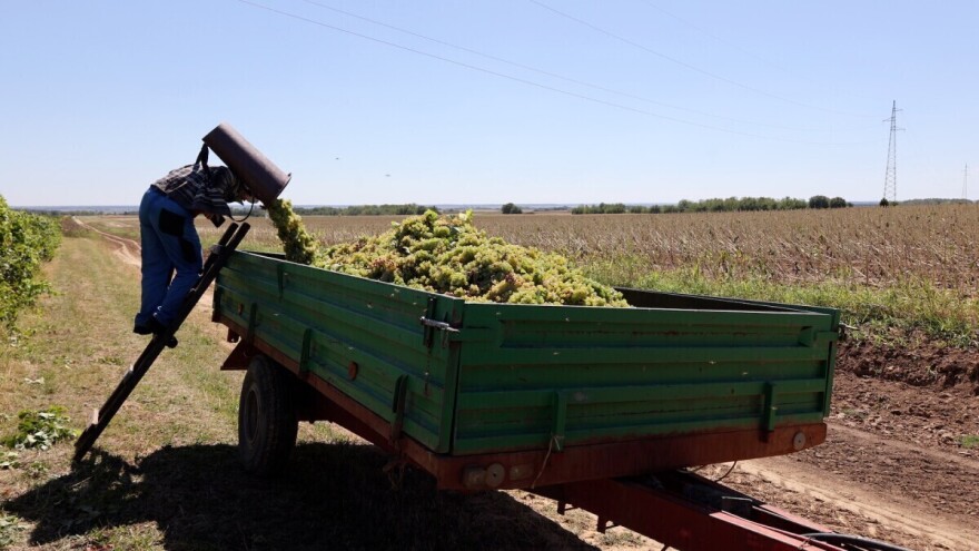 Predstavljen novi okvir mjera potpora za vinski sektor EU