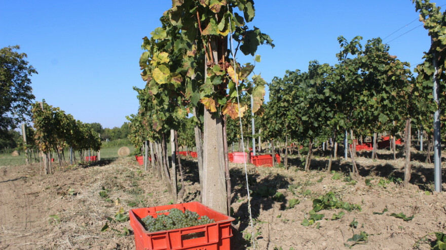 Produljen rok prijave za operacije 4.1.1 i 16.4.1