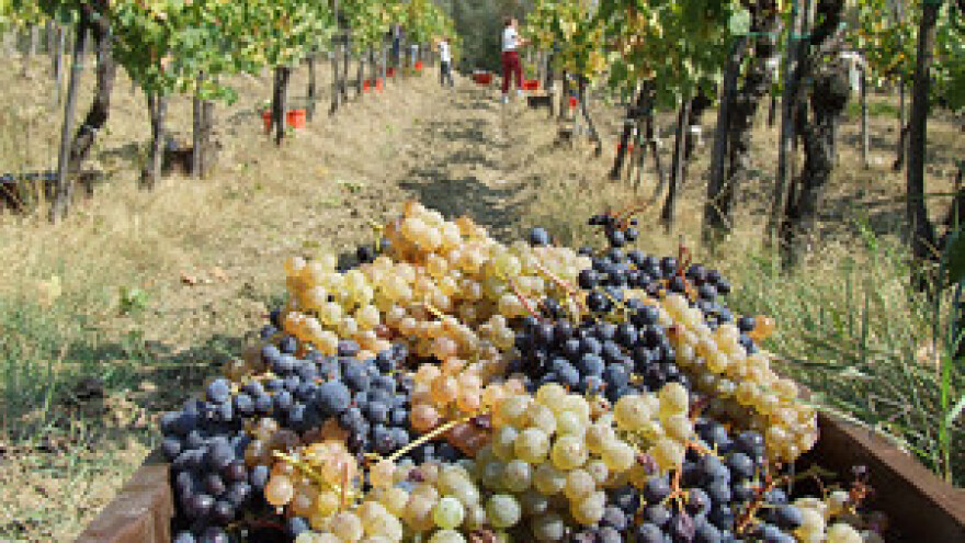 Odzvonilo sivoj zoni rada u poljoprivredi