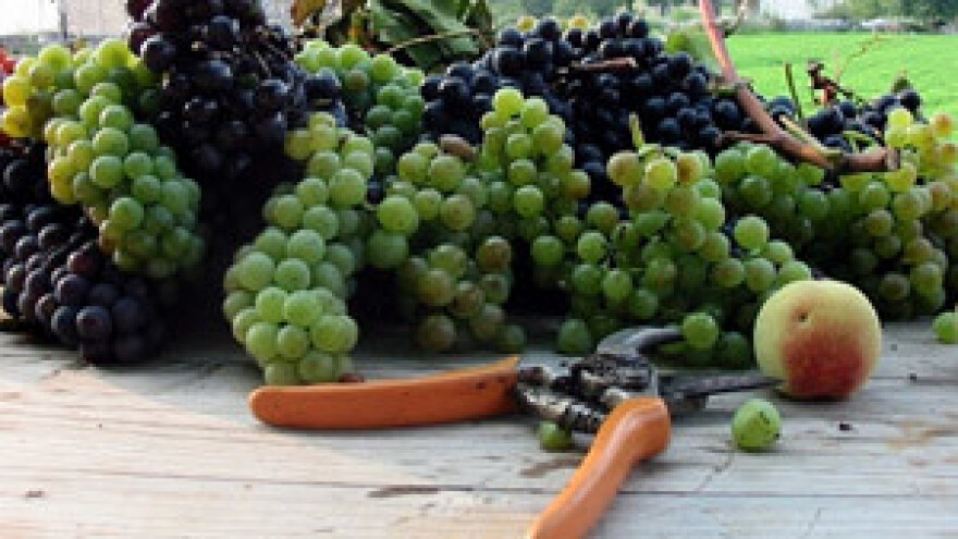 Poduzetnici za poljoprivredne radove traže pomoć zatvorenika