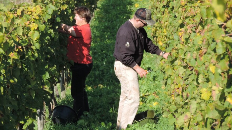 Što je novo u sadržaju i obliku Ugovora o sezonskom radu u poljoprivredi?