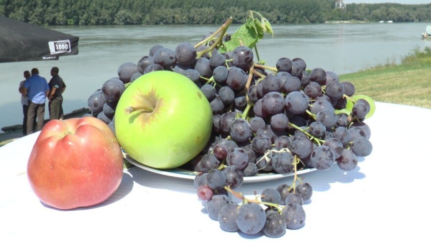 Karlovački Grožđebal od 30. septembra