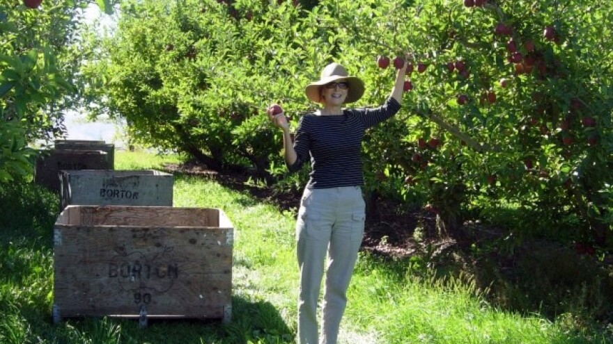 Pronađeno dovoljno berača jabuka