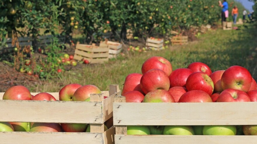 Institucije RS odradile najveći dio posla da se podigne ruska rampa