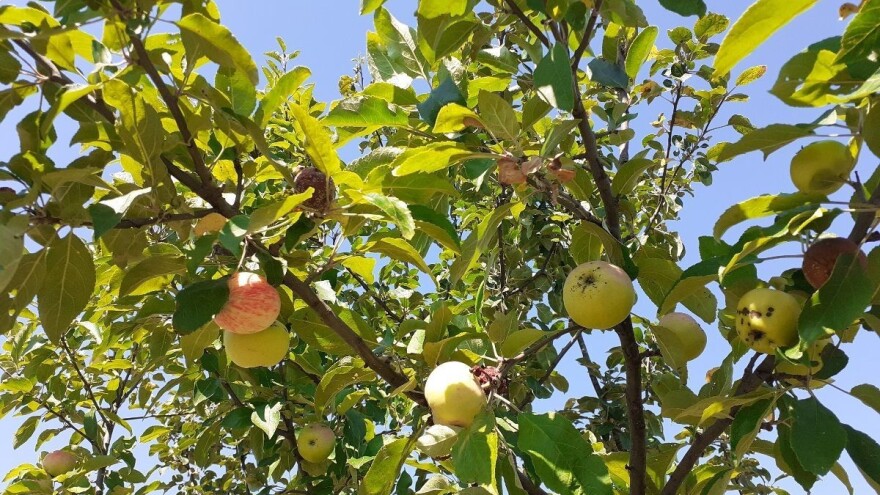 Vremenske  prilike pogodovati će predstojećim jesenjim radovima