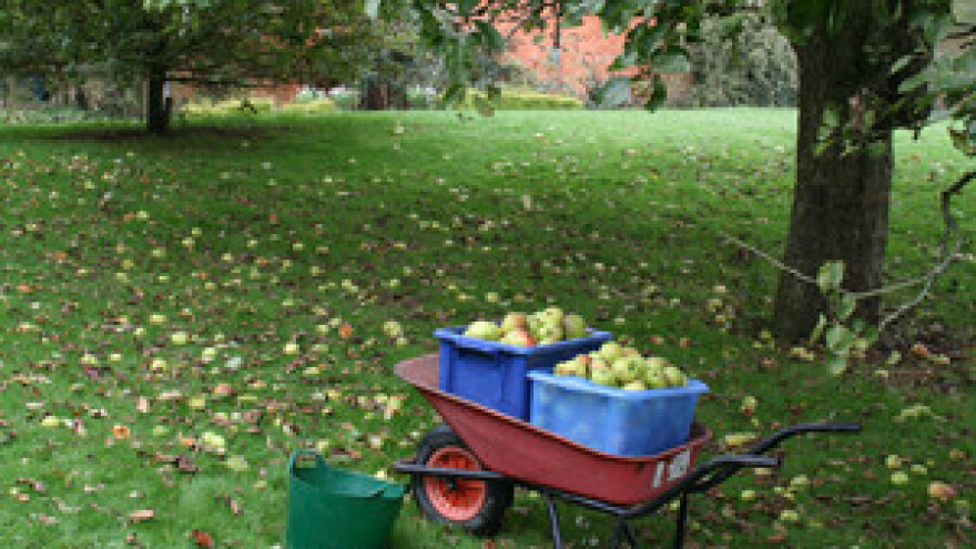 Legalizirani sezonski poslovi u poljima
